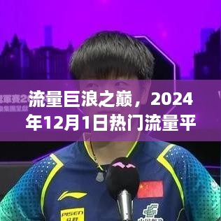 2024年12月 第1110页