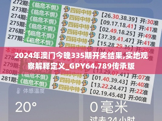 2024年澳门今晚335期开奖结果,实地观察解释定义_GPY64.789传承版