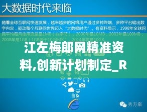 江左梅郎网精准资料,创新计划制定_REE18.628用心版