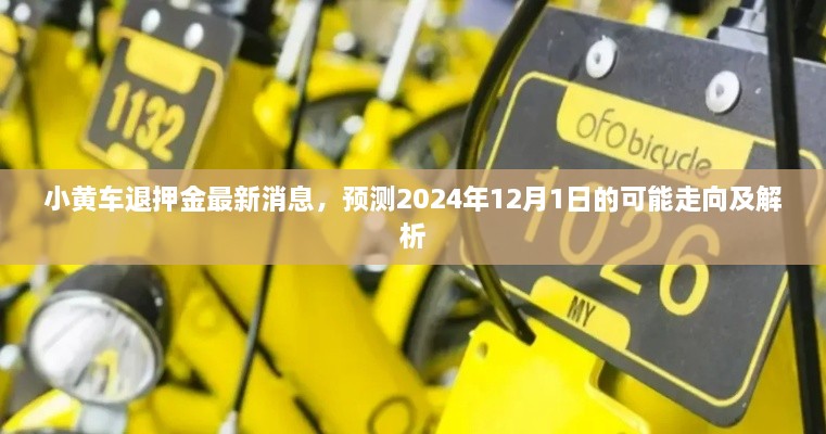 小黄车未来走向预测，2024年押金退还情况及解析