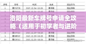 洛阳车牌号申请全攻略，初学者与进阶用户指南