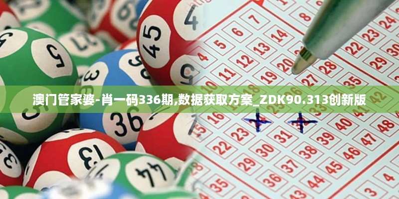 澳门管家婆-肖一码336期,数据获取方案_ZDK90.313创新版