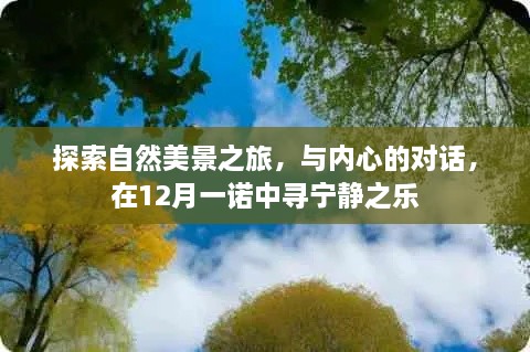 与自然对话，探索美景之旅，在宁静的十二月寻找内心之乐