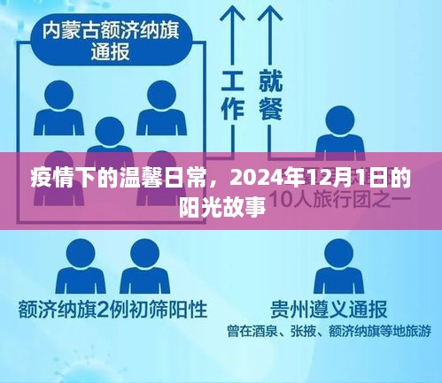 疫情下的阳光故事，温馨日常的温暖阳光纪事，2024年12月1日