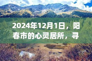 阳春心灵居所，自然美景之旅的宁静港湾（2024年）