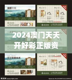 2024澳门天天开好彩正版资料大全,专业说明解析_超值版52.274-2