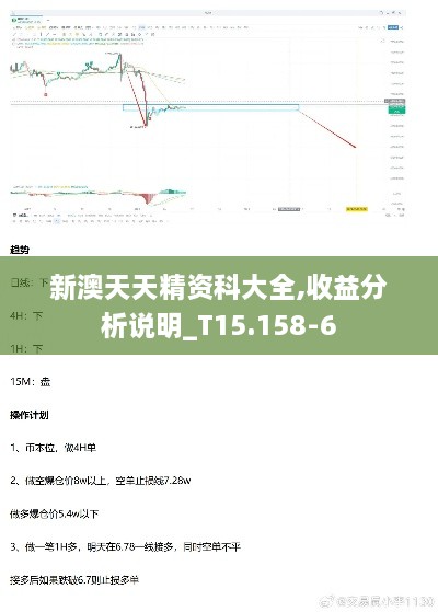 新澳天天精资科大全,收益分析说明_T15.158-6