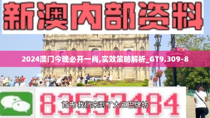 2024澳门今晚必开一肖,实效策略解析_GT9.309-8