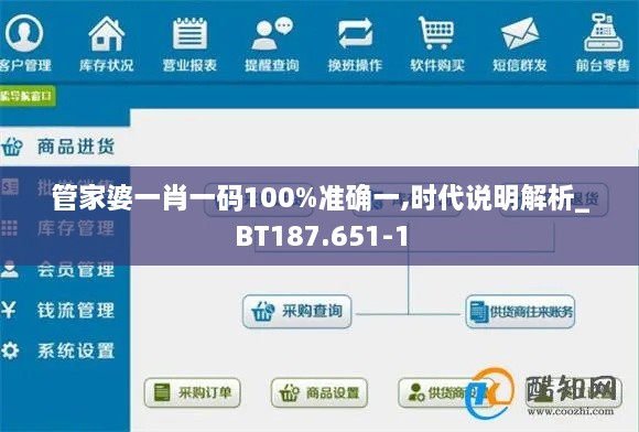 管家婆一肖一码100%准确一,时代说明解析_BT187.651-1