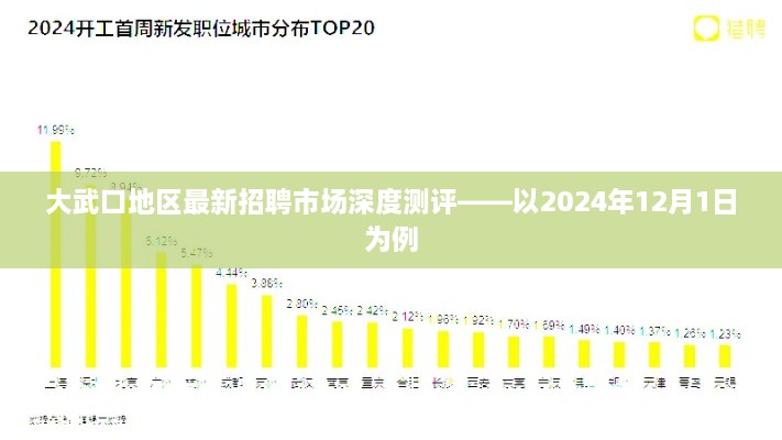 大武口地区招聘市场深度测评报告——2024年12月1日分析