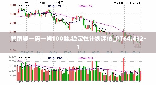 管家婆一码一肖100准,稳定性计划评估_PT64.432-1