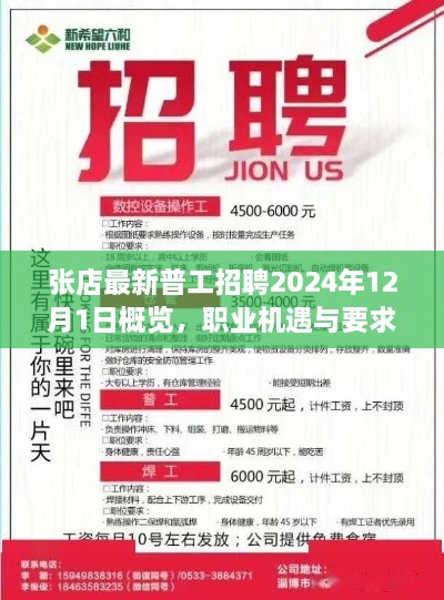 张店最新普工招聘概览，2024年12月职业机遇与要求一览