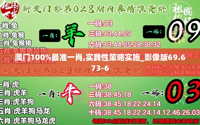 澳门100%最准一肖,实践性策略实施_影像版69.673-6