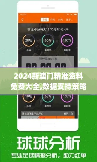 2024新澳门精准资料免费大全,数据支持策略分析_旗舰版38.144-8