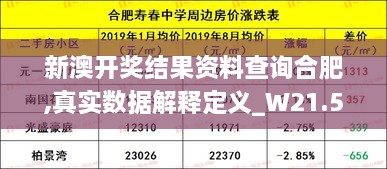 新澳开奖结果资料查询合肥,真实数据解释定义_W21.513-7