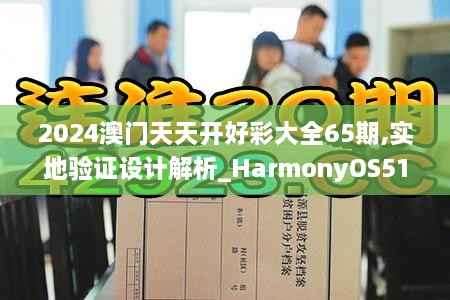 2024澳门天天开好彩大全65期,实地验证设计解析_HarmonyOS51.704-4