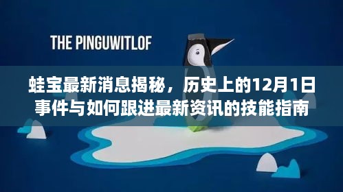 蛙宝最新动态揭秘，历史大事件回顾与跟进最新资讯指南