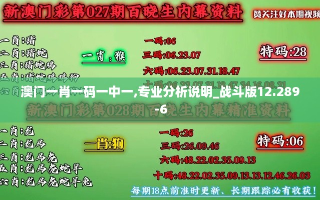 澳门一肖一码一中一,专业分析说明_战斗版12.289-6