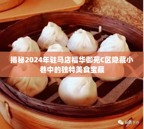 2024年驻马店福华御苑C区隐藏小巷美食探秘，独特风味宝藏大揭秘