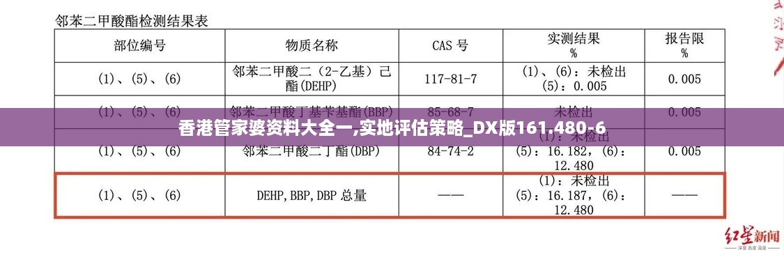 香港管家婆资料大全一,实地评估策略_DX版161.480-6