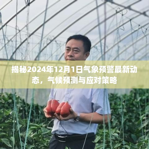 揭秘，2024年气象预警最新动态及应对策略，气候预测展望与行动指南