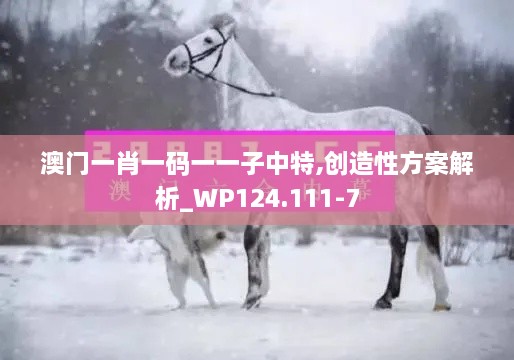 澳门一肖一码一一子中特,创造性方案解析_WP124.111-7