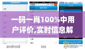 一码一肖100%中用户评价,实时信息解析说明_QHD版71.487-7