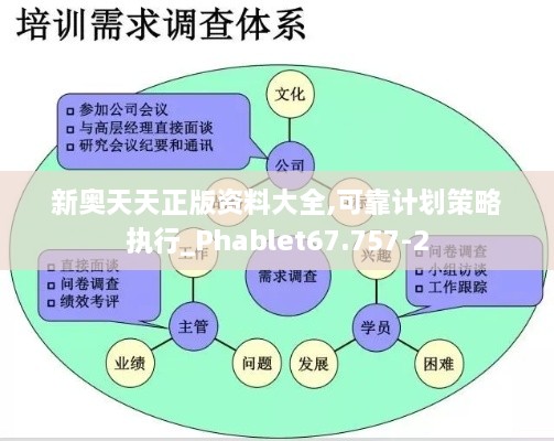 新奥天天正版资料大全,可靠计划策略执行_Phablet67.757-2