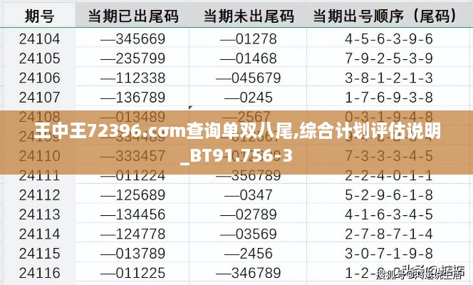 王中王72396.cσm查询单双八尾,综合计划评估说明_BT91.756-3