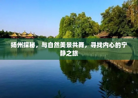 扬州探秘，与自然美景共舞，踏寻心灵宁静之旅