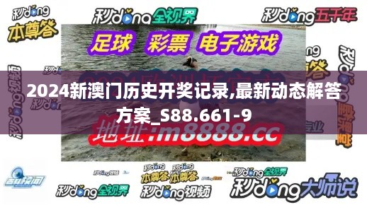 2024新澳门历史开奖记录,最新动态解答方案_S88.661-9