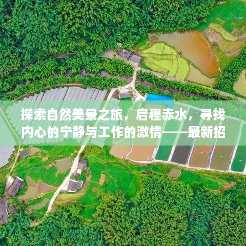 最新赤水自然美景探索之旅，寻找内心宁静与工作激情的旅程及招聘信息一览