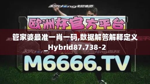 管家婆最准一肖一码,数据解答解释定义_Hybrid87.738-2