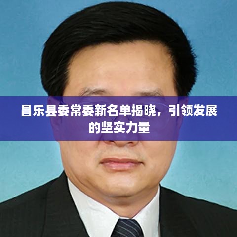 昌乐县委常委新名单揭晓，引领发展的核心力量