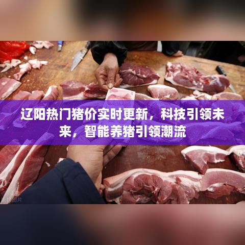 辽阳热门猪价实时更新，科技智能养猪引领未来潮流