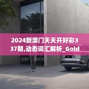 2024新澳门天天开好彩337期,动态词汇解析_Gold90.374-6