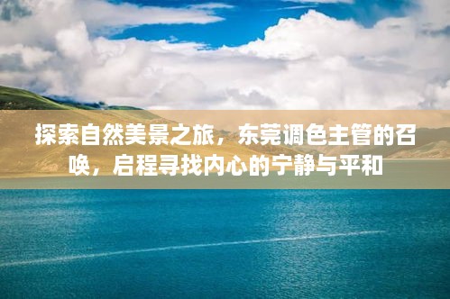 东莞调色主管引领的自然探索之旅，寻找内心的宁静与平和