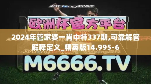 2024年管家婆一肖中特337期,可靠解答解释定义_精英版14.995-6