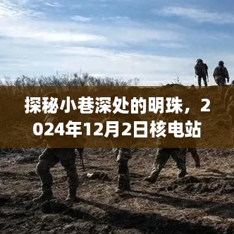 探秘核电站周边小巷明珠，2024年12月2日特色小店的魅力之旅