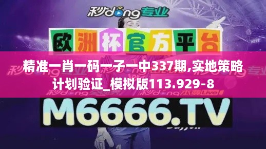 精准一肖一码一子一中337期,实地策略计划验证_模拟版113.929-8