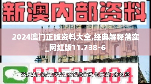 2024澳门正版资料大全,经典解释落实_网红版11.738-6