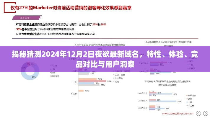 揭秘，预测中的2024年最新域名解析，特性、体验、竞品对比与用户洞察深度解析