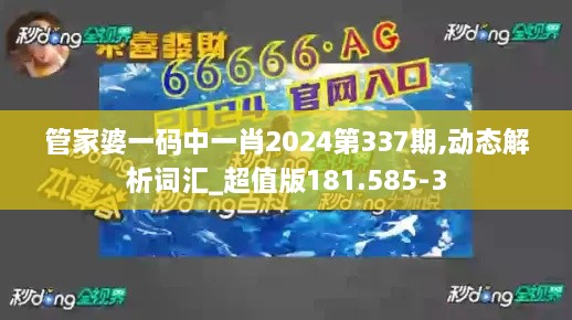 管家婆一码中一肖2024第337期,动态解析词汇_超值版181.585-3