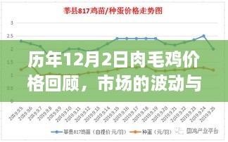 历年肉毛鸡价格回顾，市场波动与时代印记的交织