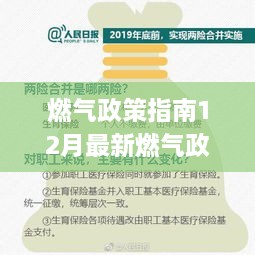 燃气政策指南，最新燃气政策详解与操作指南，助力顺利适应新政策要求