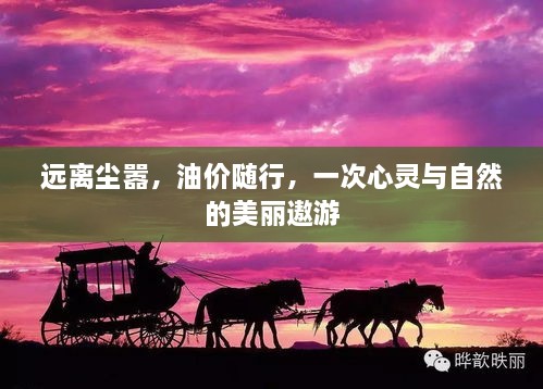 油价随行的心灵之旅，与自然共舞的美丽遨游