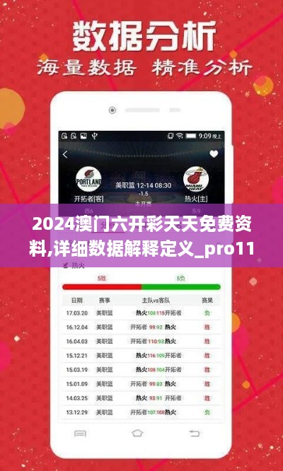 2024澳门六开彩天天免费资料,详细数据解释定义_pro11.127-1