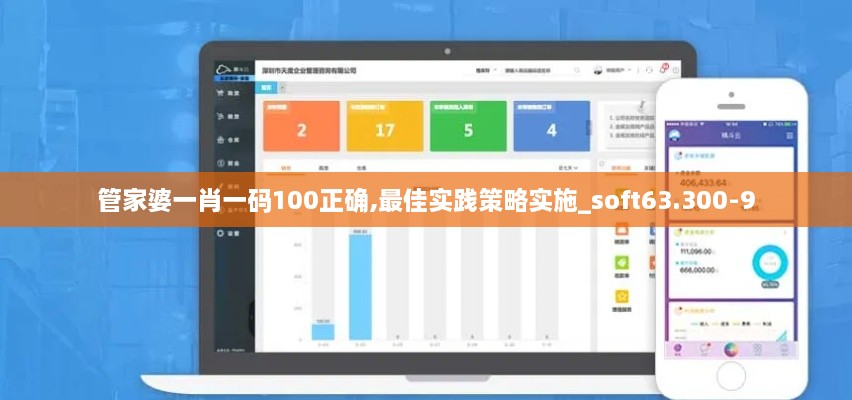 管家婆一肖一码100正确,最佳实践策略实施_soft63.300-9