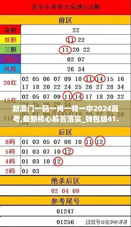 新澳门一码一肖一特一中2024高考,最新核心解答落实_钱包版41.733-9