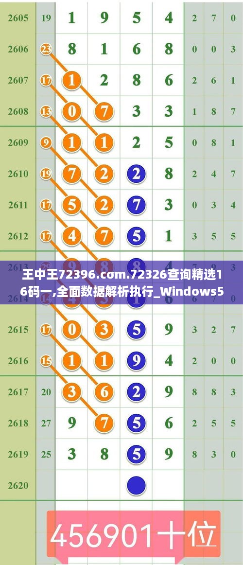 王中王72396.cσm.72326查询精选16码一,全面数据解析执行_Windows51.111-5